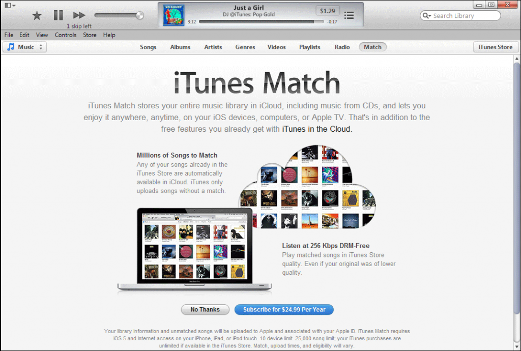 iTunes Match Service