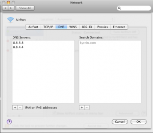 Mac OS X DNS Settings